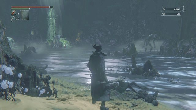 Woda w jaskini powoduje powolne zatruwanie bohatera. - Zakazany las | Opis przejścia Bloodborne - Bloodborne - poradnik do gry