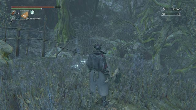 Po drodze spotkasz kilku kolejnych przeciwników - Zakazany las | Opis przejścia Bloodborne - Bloodborne - poradnik do gry