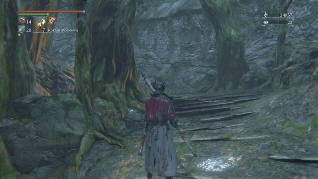 Za drzewem na Twojej drodze czai się przeciwnik. - Zakazany las | Opis przejścia Bloodborne - Bloodborne - poradnik do gry