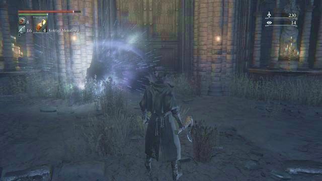 W środku budynku wejdziesz do dużej sali - Rewir Katedralny - po walce z Pastorem Amelią | Opis przejścia Bloodborne - Bloodborne - poradnik do gry