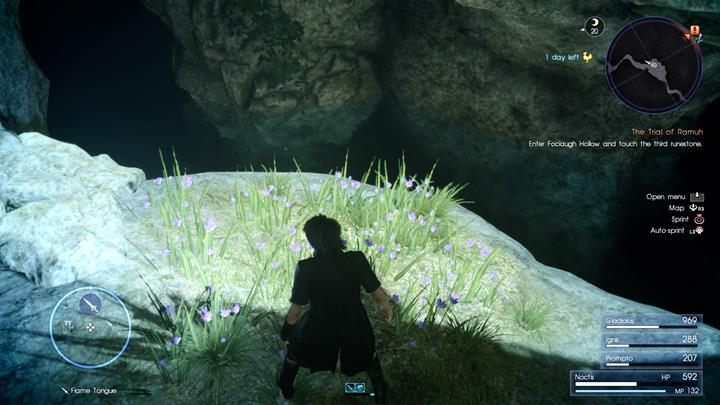W krzakach znajdziesz ascension coin - Chapter 5 - Dark Clouds | Solucja Final Fantasy XV - Final Fantasy XV - poradnik do gry