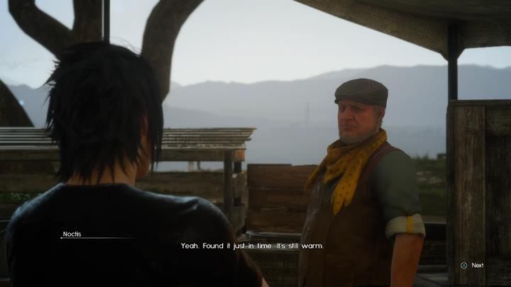 Po ukończeniu zadania związanego z odblokowaniem Chocobo, będziesz mógł podjąć serię kolejnych zadań od Wiza - Ratowanie chocobo dla Wiza | Solucja Final Fantasy XV - Final Fantasy XV - poradnik do gry