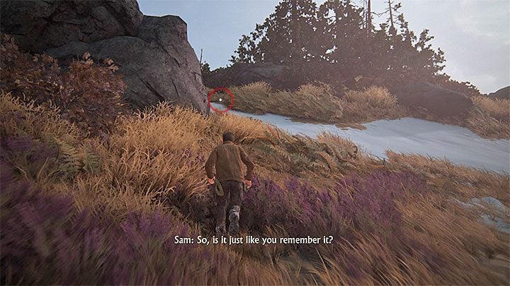 Rozdział ten rozpoczynasz na rozległej polanie i przez kilka(naście) najbliższych minut nie spotkasz żadnych wrogów - Uncharted 4 Kres Złodzieja: Rozdział 8 Grób Henryego Averyego - solucja, opis przejścia - Uncharted 4: Kres Złodzieja - poradnik do gry