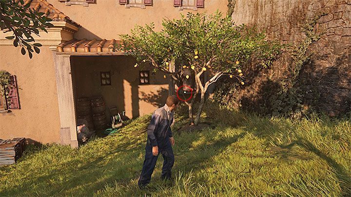 Po tym jak Nate zakończy wspinaczkę i znajdzie się w sadzie zacznij przemieszczać się w linii prostej przez sad - Uncharted 4 Kres Złodzieja: Złodziejska krew - wszystkie skarby - Uncharted 4: Kres Złodzieja - poradnik do gry