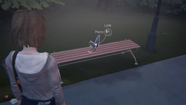 Drugie zdjęcie będzie dostępne po wyjściu z akademika - Life is Strange: Out of time - Zdjęcia - Life is Strange - poradnik do gry