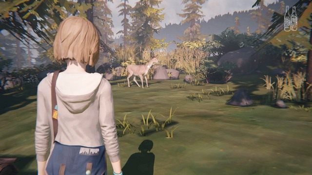Siódme zdjęcie możesz wykonać przechodząc na tył autobusu - Life is Strange: Out of time - Zdjęcia - Life is Strange - poradnik do gry
