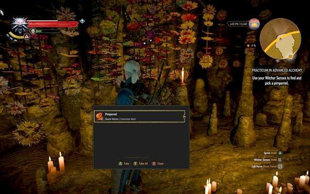 Kurzyślad w jaskini Sukuba - Wiedźmin 3 Dziki Gon: Egzamin z alchemii (Practicum in Advanced Alchemy) - zadanie poboczne | Kaer Trolde - Wiedźmin 3 Dziki Gon - poradnik do gry