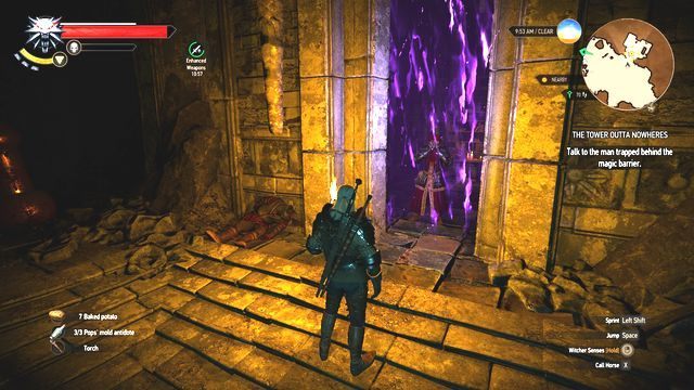 Porozmawiaj z magiem uwięzionym za magiczna barierą. - Wiedźmin 3 Dziki Gon: Poboczne zadania | An Skellig | Wiedźmin 3 Dziki Gon - Wiedźmin 3 Dziki Gon - poradnik do gry