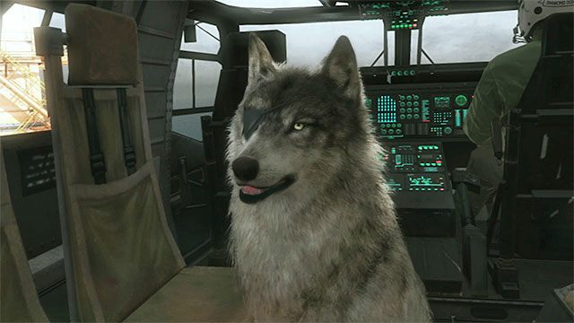 D-Dog - Pies (D-Dog) | Pomocnicy (Buddies) w Metal Gear Solid V The Phantom Pain - Metal Gear Solid V: The Phantom Pain - poradnik do gry