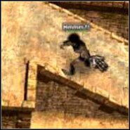 Twoim pierwszym zadaniem będzie pokonanie kilku Yeti [067 - Big Plain - Tibet - część 2 | Grom - Grom - poradnik do gry