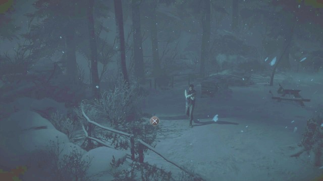 Totem śmierci #2 schowany przy krzakach - Rozdział 5 | Opis przejścia - Until Dawn - poradnik do gry