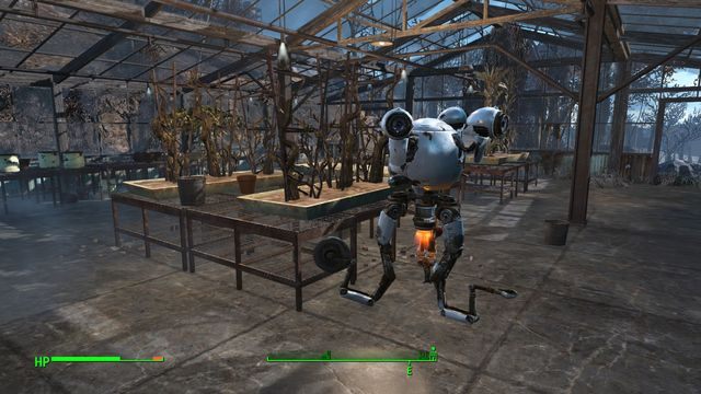 Sprzedawanie zebranych owoców dostarcza ci niewielką, ale stałą ilość kapsli. Pamiętaj o tym w chwilach kryzysu. - Graygarden | Fort Hagen - Sektor 4 | Mapy Fallout 4 - Fallout 4 - poradnik do gry