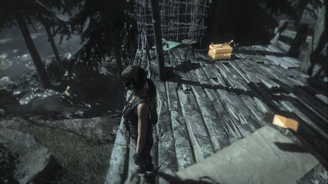 Na platformie myśliwskiej rozwieszonej pomiędzy drzewami - Dokumenty 16-33 | Geotermiczna dolina | Skarby w Rise of the Tomb Raider - Rise of the Tomb Raider - poradnik do gry
