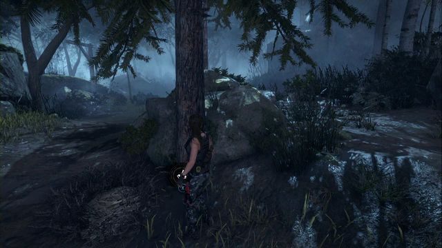 Pod drzewem, obok ścieżki w lesie - Skrzynie i skarby z krypty | Geotermiczna dolina | Rise of the Tomb Raider - Rise of the Tomb Raider - poradnik do gry