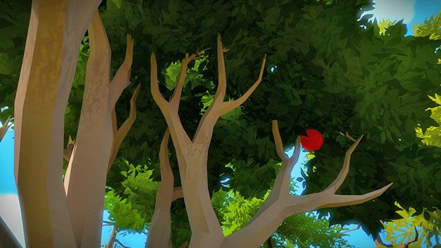 By odkryć właściwy punkt końcowy spójrz na drzewo rosnące po lewej - Miasteczko - Solucja The Witness - The Witness - poradnik do gry