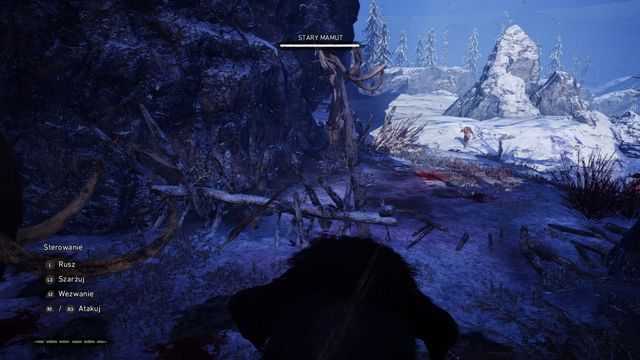 Zniszcz barykadę, aby mamut mógł wyjść z pułapki. - Stary mamut w potrzasku | Legenda Mamuta | Far Cry Primal - Far Cry Primal - poradnik do gry