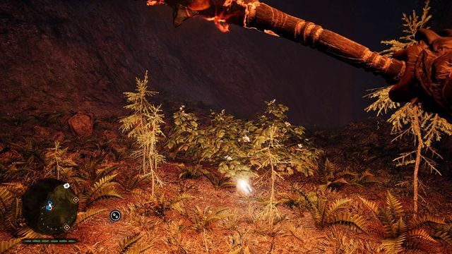 Pod krzakami, obok drzewa - Ręce Daiszy | Południowe Oros | Far Cry Primal - Far Cry Primal - poradnik do gry