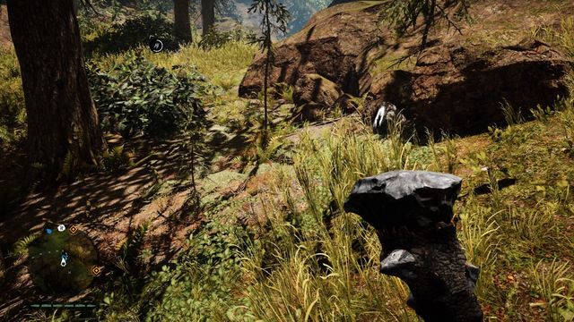 Pod skałą, obok drzewa - Ręce Daiszy | Południowe Oros | Far Cry Primal - Far Cry Primal - poradnik do gry