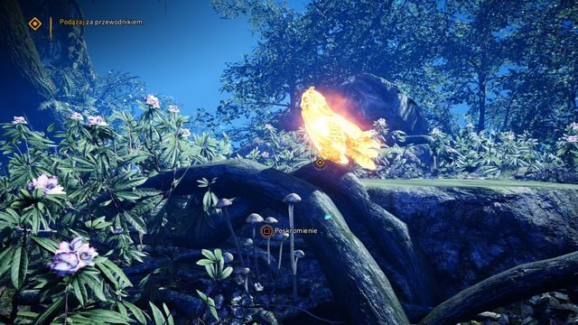 Podejdź do sowy, aby ją oswoić. - Wizja bestii | Opis przejścia | Far Cry Primal - Far Cry Primal - poradnik do gry