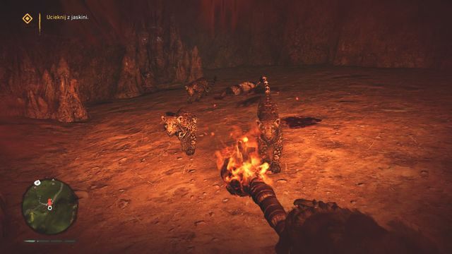 Pochodnia pomoże trzymać zwierzęta na dystans. - Potrzask (Rzemieślnik Łoga) | Opis przejścia | Far Cry Primal - Far Cry Primal - poradnik do gry