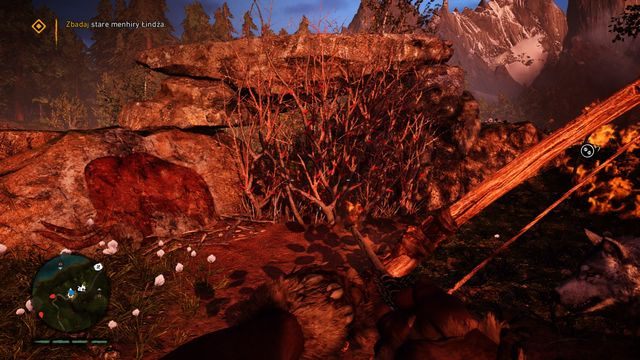 Spal krzaki, a następnie popatrz pomiędzy kamieniami. - Krew Oros (Rzemieślnik Łoga) | Opis przejścia | Far Cry Primal - Far Cry Primal - poradnik do gry