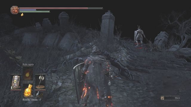 Rycerzom daj się zauważyć po kolei. - Zapomniane Groby | Opis przejścia Dark Souls 3 - Dark Souls III - opis przejścia i sekrety