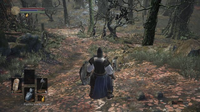 Punkt przyjęty za startowy. - Ofiarna Droga - bagno | Opis przejścia Dark Souls 3 - Dark Souls III - opis przejścia i sekrety