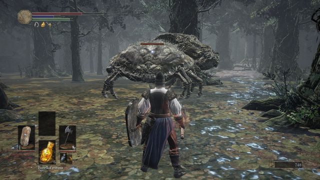 Zachodząc kraba od tyłu masz szansę na chwilowe ogłuszenie stwora. - Ofiarna Droga - bagno | Opis przejścia Dark Souls 3 - Dark Souls III - opis przejścia i sekrety