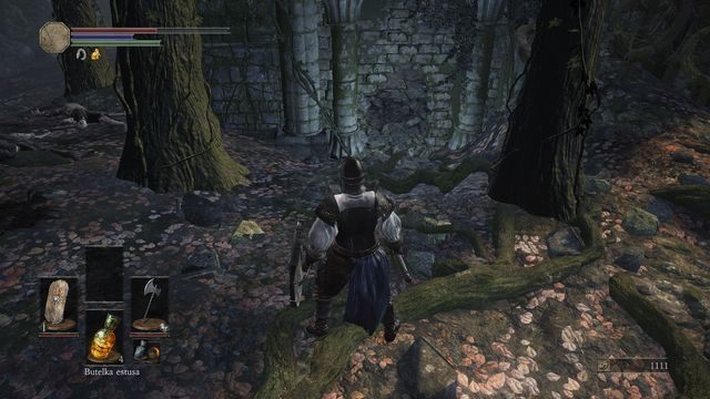 Obejdź mur z prawej strony, aby znaleźć wejście do środka, widoczne na screenie - Ofiarna Droga - bagno | Opis przejścia Dark Souls 3 - Dark Souls III - opis przejścia i sekrety