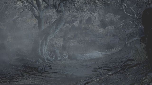 Dark Souls III zgodnie z poprzednimi odsłonami serii jest grą wymagającą, w której w przypadku większości starć bardzo ważne jest odpowiednie podejście do przeciwnika oraz wykorzystanie jego słabych punktów - 2. Porady na start w Dark Souls 3 - Dark Souls III - opis przejścia i sekrety