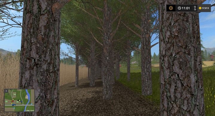 Po kilku dniach otrzymasz całkiem ładny las - Sadzenie drzew i topoli w Farming Simulator 17 | Podstawy leśnictwa - Farming Simulator 17 - poradnik do gry