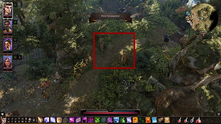 Gdy dotrzesz do obozu zastaniesz elfy, podczas odprawiania tajemniczego rytuału - Zadania poboczne na Wybrzeżu Żniwiarza | Solucja Divinity Original Sin 2 - Divinity Original Sin 2 - poradnik do gry