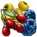 Berry - ARK: Oswajanie - podstawy - ARK Survival Evolved - poradnik do gry