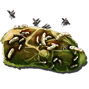 Dung Beetle - ARK: Oswajanie - podstawy - ARK Survival Evolved - poradnik do gry