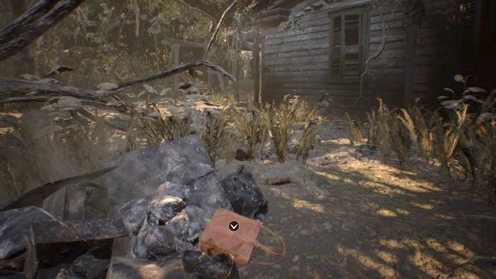 Torebka przed budynkiem - Resident Evil 7: Pensjonat (Guest house) - solucja - Resident Evil 7 - poradnik, solucja