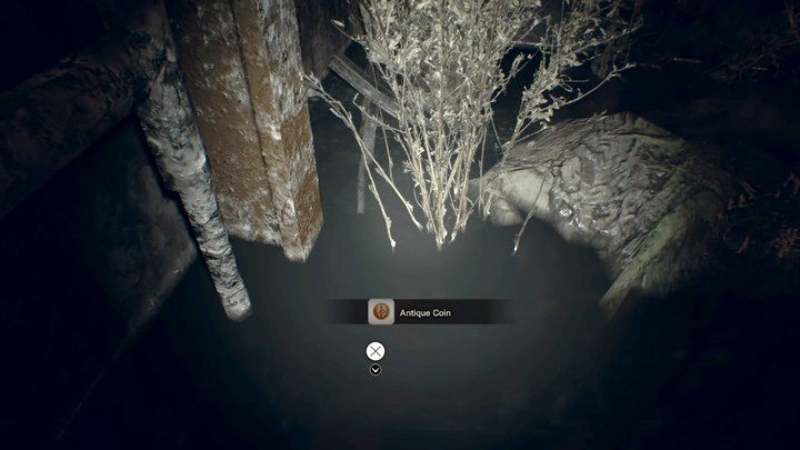 Druga moneta leży w wodzie koło białych chaszczów - Resident Evil 7: Wrak statku - solucja - Resident Evil 7 - poradnik, solucja
