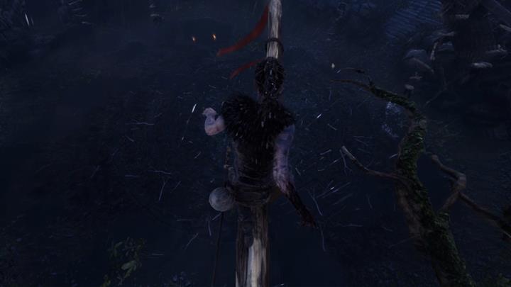 Balansuj aż do gniazda. - Hellblade Senuas Sacrifice: Ostatnie wrota i walka z Valravnem - Hellblade: Senuas Sacrifice - poradnik do gry