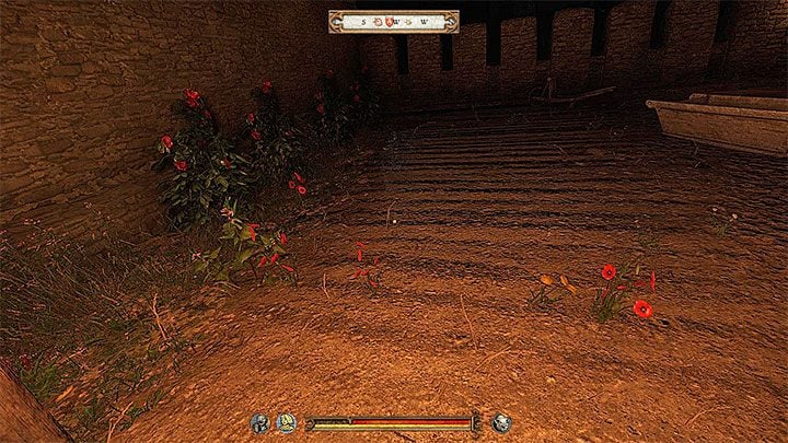 Kolejne zadanie do wykonania to przygotowanie bukietu kwiatów dla Zeni - Kingdom Come: Jak zdobyć trofeum Rycerz Rozbójnik? - Kingdom Come Deliverance - poradnik do gry