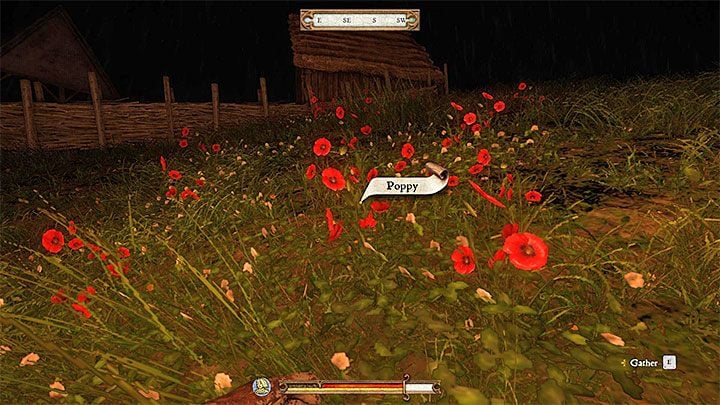 Zanim jeszcze spotkasz się po raz pierwszy z Dargomirą zajmij się drugim celem misji, który dotyczy zgromadzenia 10 maków (Poppy) - Ledeczko | Zadania poboczne Kingdom Come - Kingdom Come Deliverance - poradnik do gry
