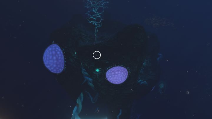 Jedna z wysepek dryfujących po strefie. - Subnautica: Strefa Krwistych Wodorostów | Strefy, Biomy - Subnautica - poradnik do gry