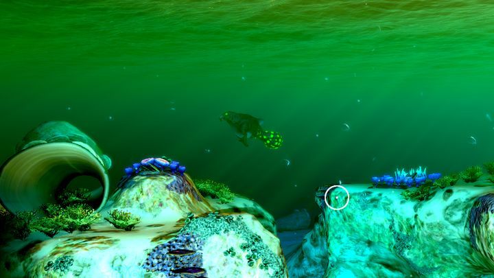 1 - Subnautica: Płycizna | Strefy, Biomy - Subnautica - poradnik do gry