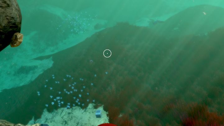 Bliżej powierzchni możesz spotkać Rafogrzbiety - Subnautica: Pola Czerwonej Trawy | Strefy, Biomy - Subnautica - poradnik do gry