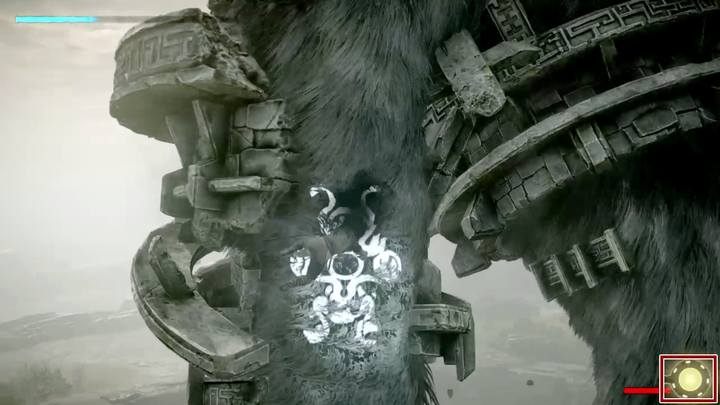 Obserwuj wskaźnik załadowania ciosu. Jeśli jest za słaby, czasami może nie przebić się przez skórę - Walka z kolosami w Shadow of the Colossus - Shadow of the Colossus - poradnik do gry