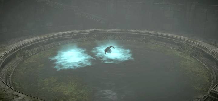 Odblokowane przedmioty wyławiasz z basenu w świątyni - Ataki czasowe w Shadow of the Colossus - Shadow of the Colossus - poradnik do gry