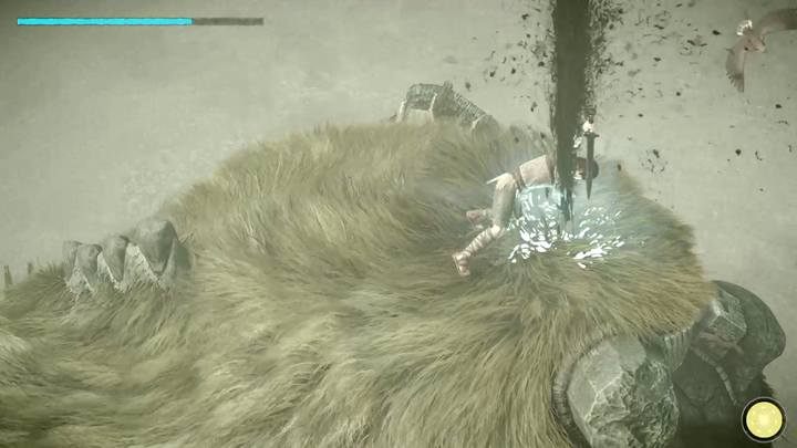 Punkt witalny na czubku głowy - Kolos 1 - Valus | Solucja Shadow of the Colossus - Shadow of the Colossus - poradnik do gry