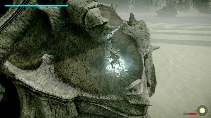 Główne punkty witalne znajdują się na czubku głowy i przy ogonie kolosa - Kolos 2 - Quadratus | Solucja Shadow of the Colossus - Shadow of the Colossus - poradnik do gry