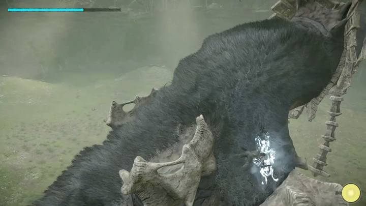 Dodatkowe punkty znajdziesz nad przednimi nogami kolosa - Kolos 4 - Phaedra | Solucja dla Shadow of the Colossus - Shadow of the Colossus - poradnik do gry