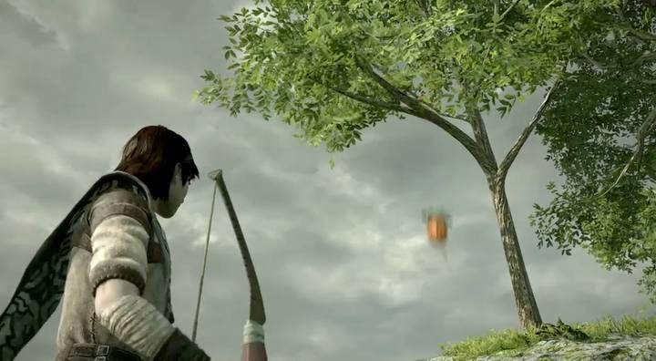 Na jednym drzewie znajduje się zwykle od 2-6 owoców - Jak zwiększyć żywotność w Shadow of the Colossus? - Shadow of the Colossus - poradnik do gry