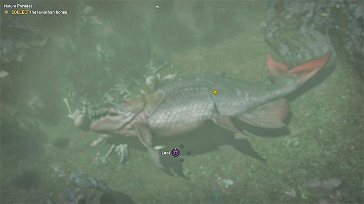 Upewnij się, że w okolicy nie ma żadnych drapieżników (mogą tu być np - Misje poboczne | Góry Whitetail | Solucja Far Cry 5 - Far Cry 5 - poradnik do gry
