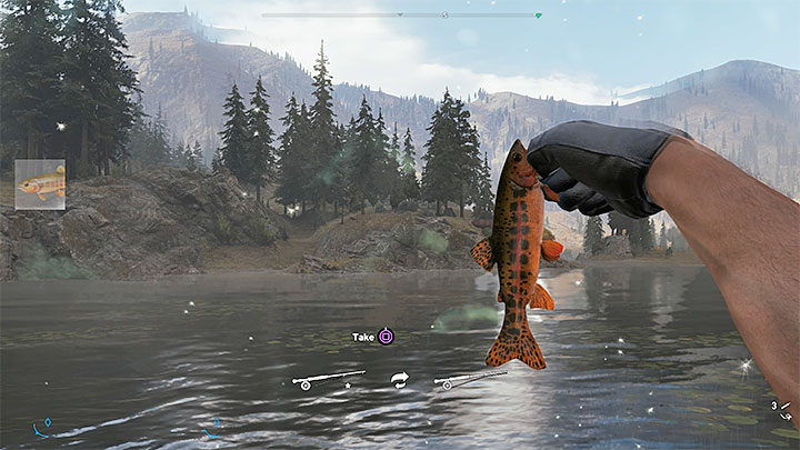 W regionie Góry Whitetail będziesz łapał takie gatunki ryb jak lipień arktyczny, czawycza czy nerka - Łowiska i ryby w Górach Whitetail - Mapa | Far Cry 5 - Far Cry 5 - poradnik do gry